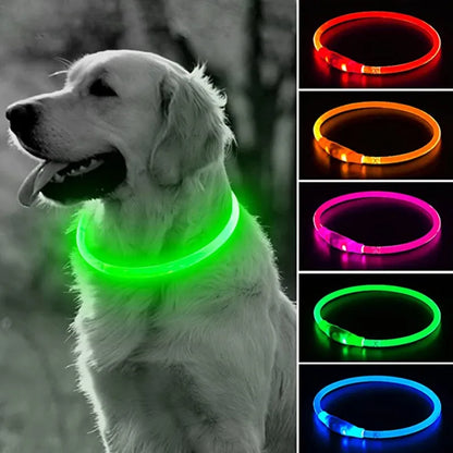 Led-halsband Lichtgevende USB-halsband voor katten 3 modi Led-licht Gloeiend verliespreventie LED-halsband voor honden Hondaccessoires 