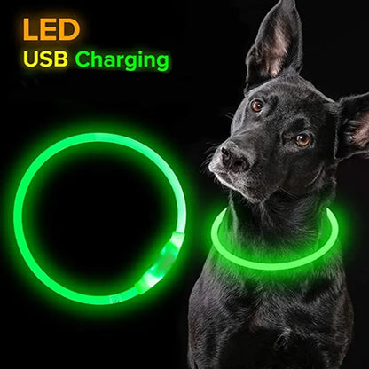 Led-halsband Lichtgevende USB-halsband voor katten 3 modi Led-licht Gloeiend verliespreventie LED-halsband voor honden Hondaccessoires 