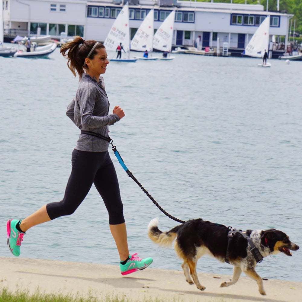 Handvrije hondenriem voor huisdieren Wandelen Hardlopen Joggen Verstelbare hondenriem Tailleriem Borstband Trekkabel Hondaccessoires 